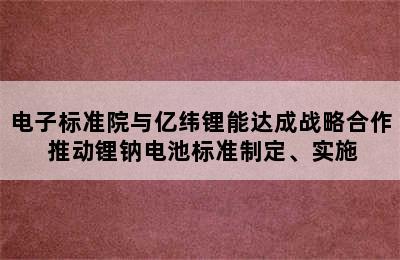 电子标准院与亿纬锂能达成战略合作 推动锂钠电池标准制定、实施